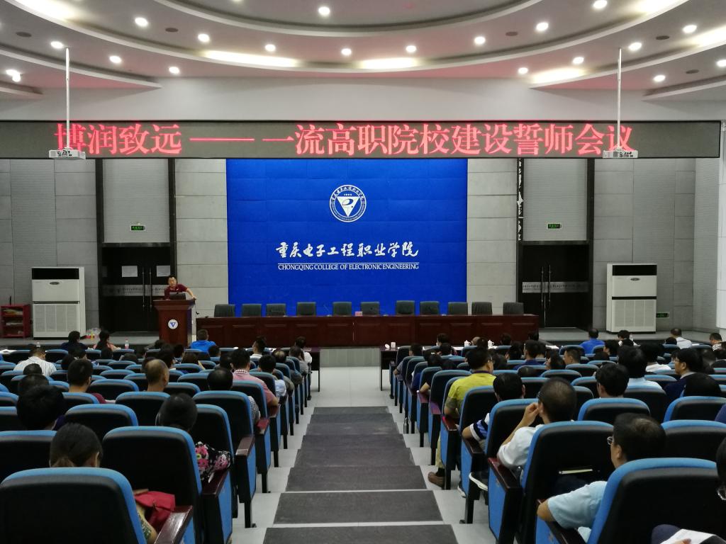 孙卫平书记在会上发言